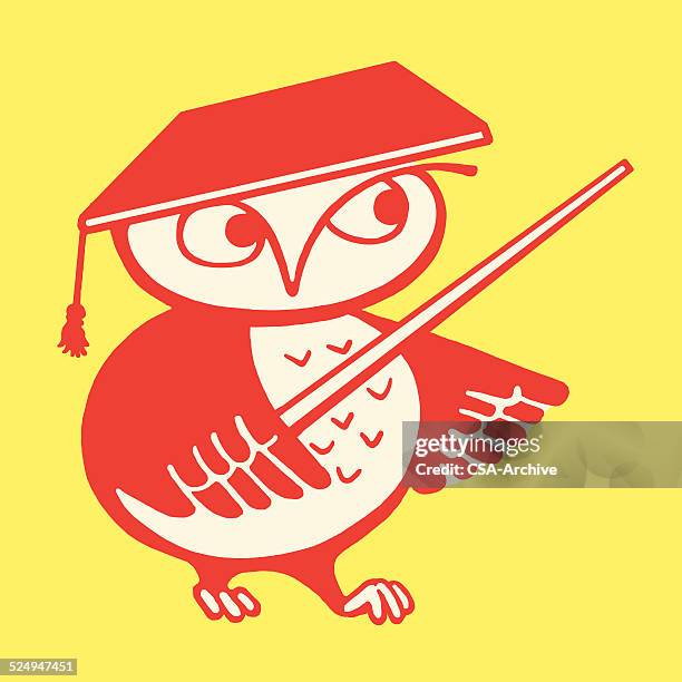 owl professor - owl wings stock illustrations