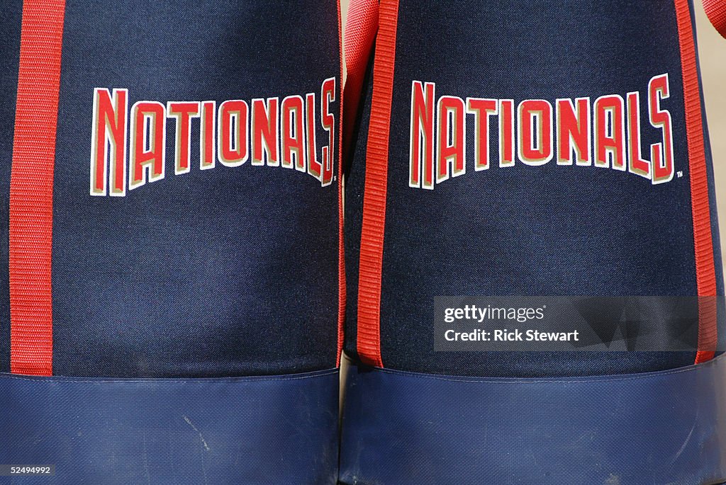 Washington Nationals v Detroit Tigers