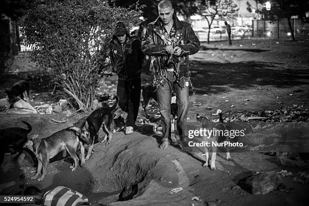 "Bruce Lee" who is usually surrounded by a pack of stray dogs, is the leader of the drug addicted youth who gather at a park near Gara de Nord train...