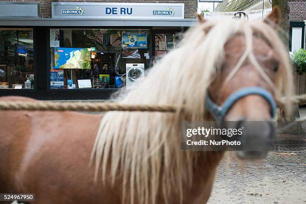 Horse dealers and their sticks used to keep the animals in place and calm. Every year on the 28th of July a horse market is held. The market...