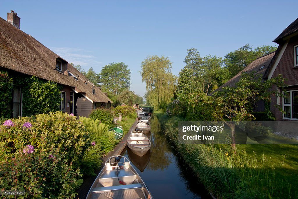 Reflection Of Green Trees, House, Boat And Plants