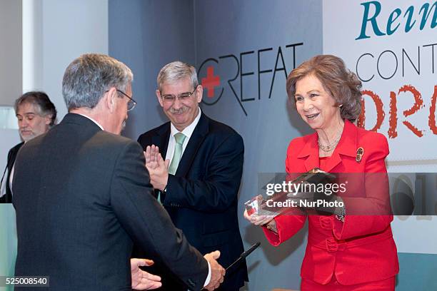 Queen Sofia attends 'Queen Sofia Against Drugs' awards ceremony at the Red Cross foundation building on December 9, 2014 in Madrid, Spain.