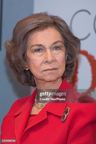 Queen Sofia attends 'Queen Sofia Against Drugs' awards ceremony at the Red Cross foundation building on December 9, 2014 in Madrid, Spain.