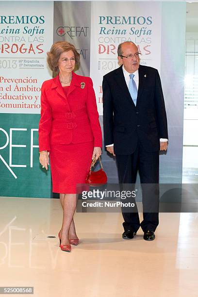 Queen Sofia attends 'Queen Sofia Against Drugs' awards ceremony at the Red Cross foundation building on December 9, 2014 in Madrid, Spain.