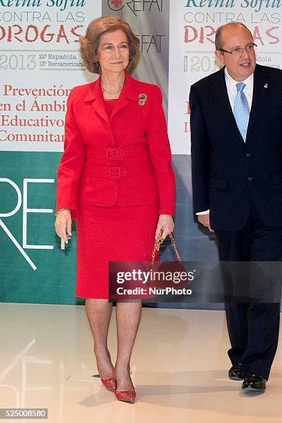 Queen Sofia attends 'Queen Sofia Against Drugs' awards ceremony at the Red Cross foundation building on December 9, 2014 in Madrid, Spain.