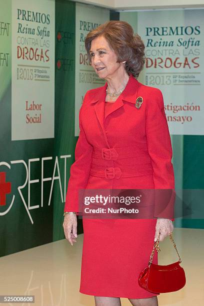 Queen Sofia attends 'Queen Sofia Against Drugs' awards ceremony at the Red Cross foundation building on December 9, 2014 in Madrid, Spain.