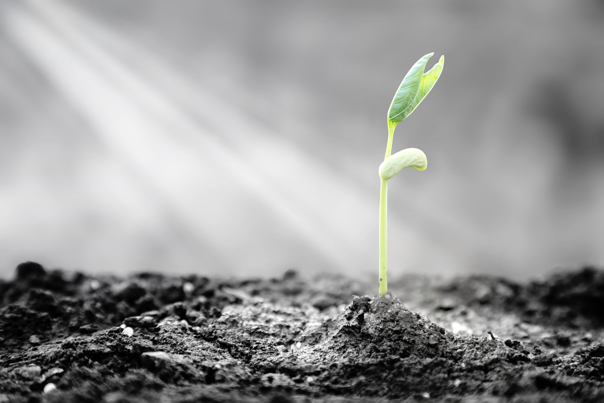 spiritual growth