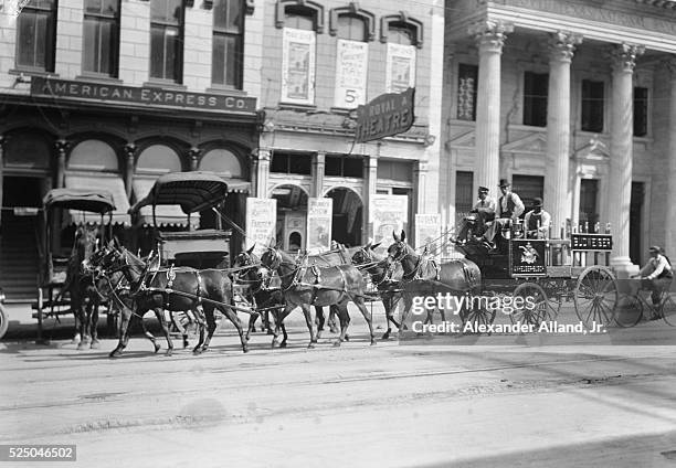 BUDWEISER BEER WAGON, HOUSTON, TEXAS.PHOTOGRAPH C.1900.