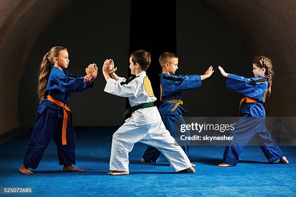 fighting stance. - judo stock pictures, royalty-free photos & images