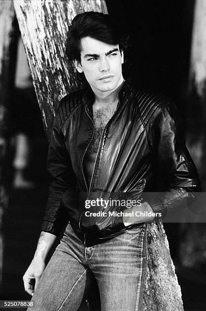 American actor Peter Gallagher