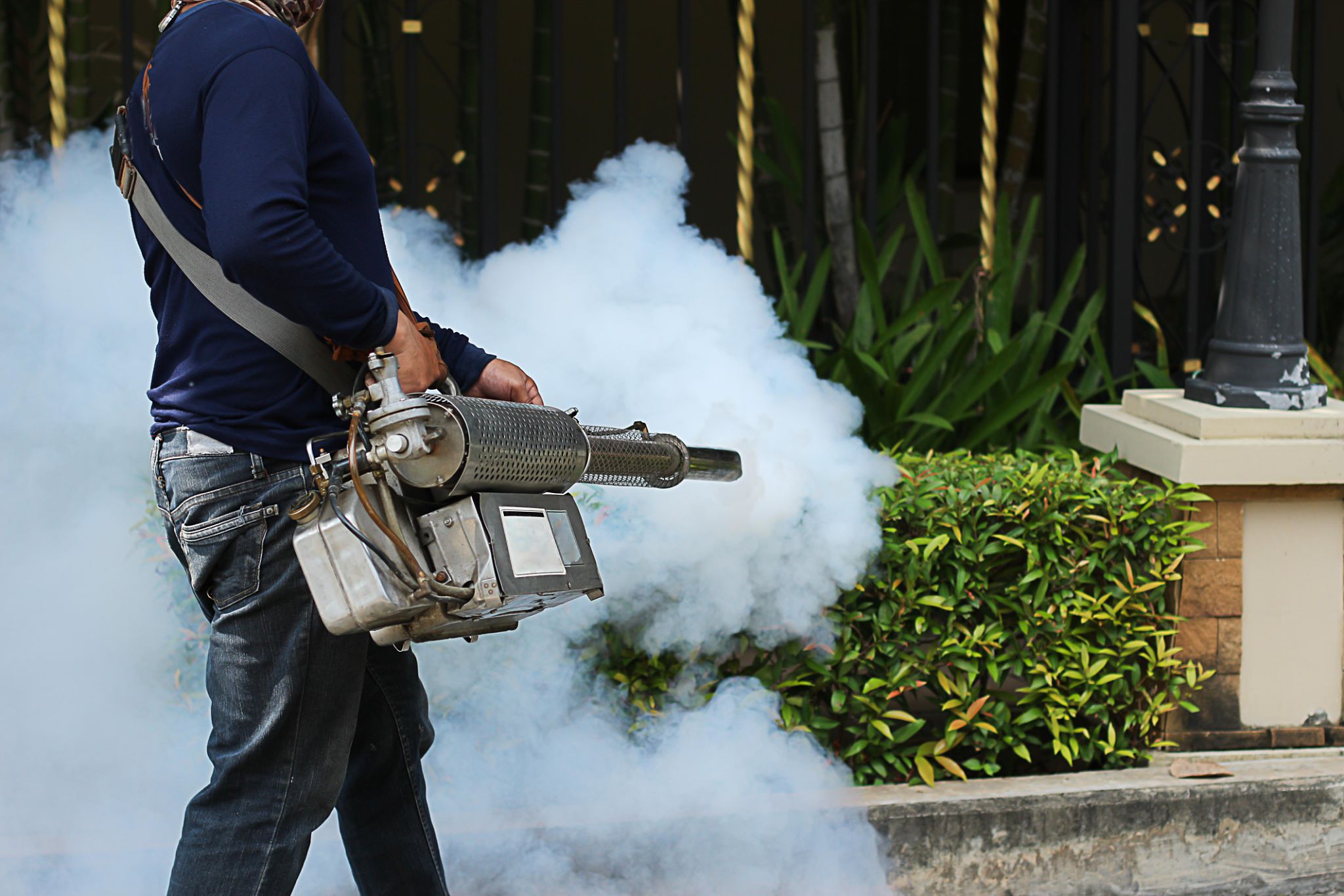 mosquito control