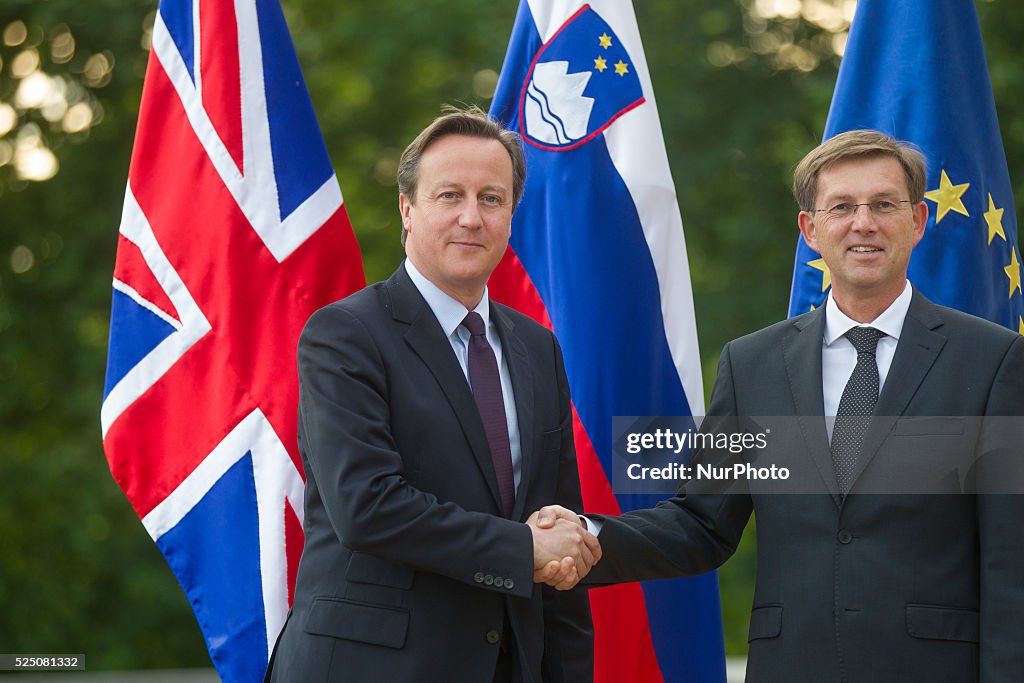 Prime Minister David Cameron and his Slovenian counterpart Miro Cerar