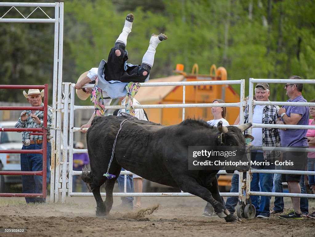 Rodeo - 97th Annual Falkland Stampede