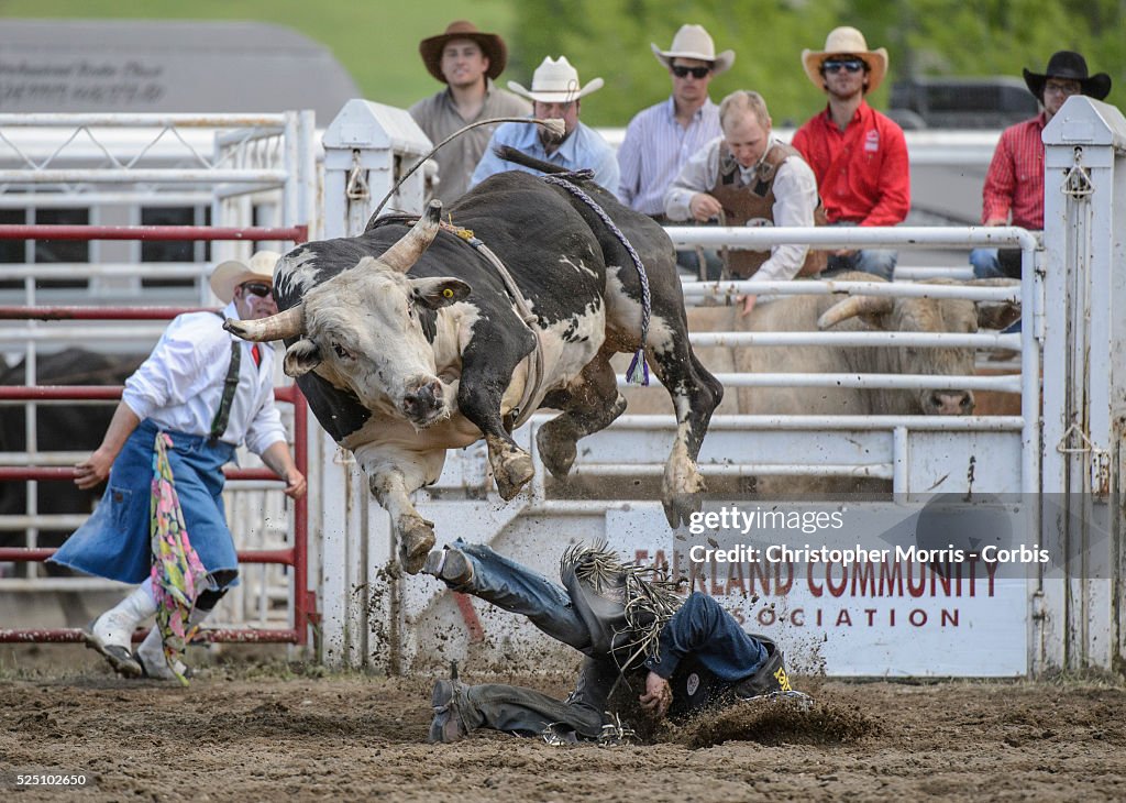 Rodeo - 97th Annual Falkland Stampede