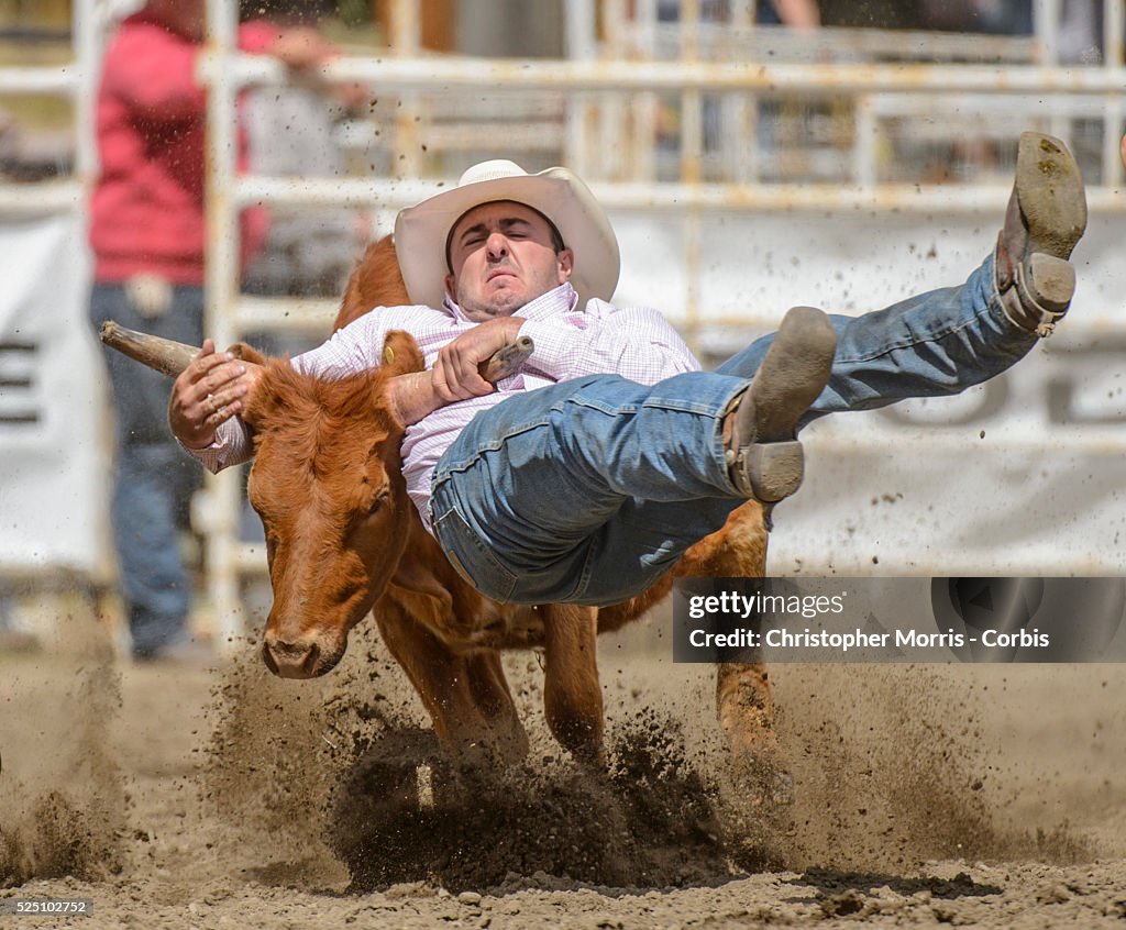 Rodeo - 97th Annual Falkland Stampede