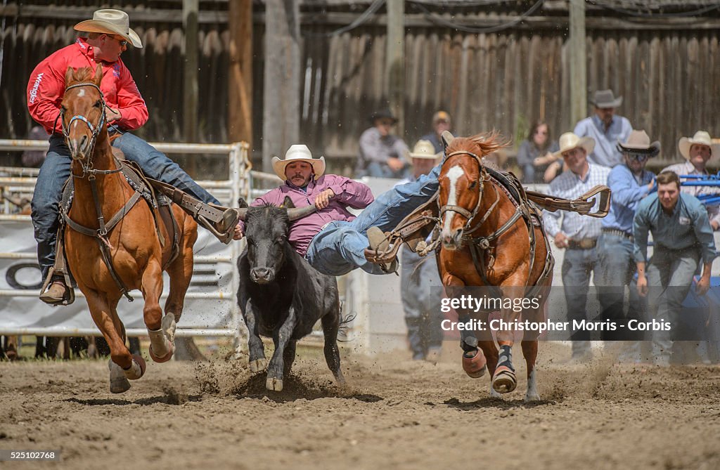 Rodeo - 97th Annual Falkland Stampede