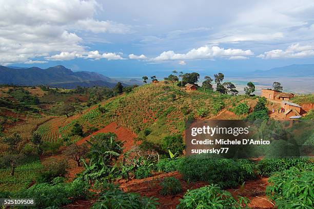 red village and red soil. - agroforestry stock-fotos und bilder