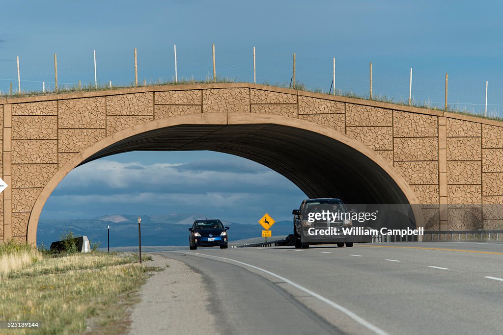 USA - Wyoming - Wildlife Overpass