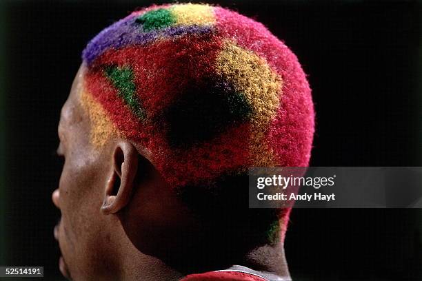 Dennis Rodman of the Chicago Bulls plays with multi-colored patterned hair against the Utah Jazz during Game Four of the 1997 NBA Finals at the Delta...