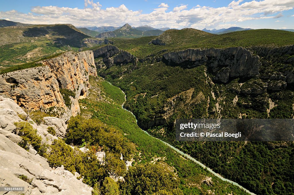 Green valley - Verdon Gorge