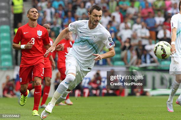 Milivoje Novakovic slovenian striker during UEFA EURO 2016 Group E qualifier between Slovenia and England at sport park Stozice, Slovenia on June 14,...