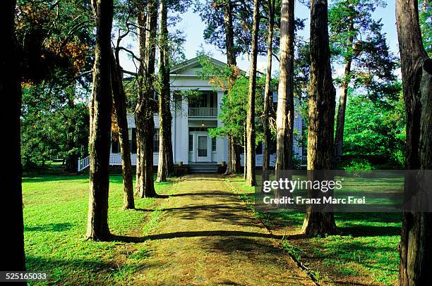 william faulkners rowan oak - oxford mississippi stock pictures, royalty-free photos & images