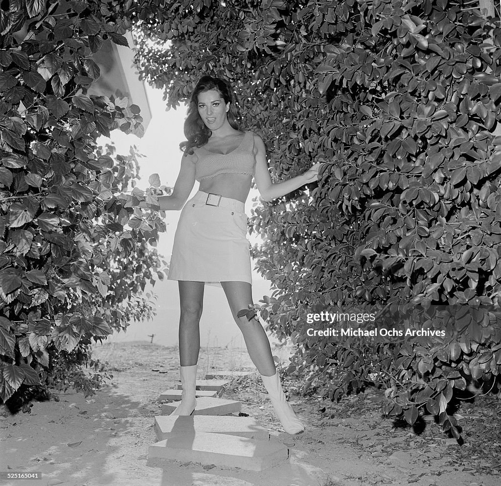 Edy Williams