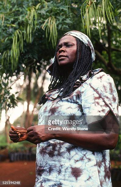 Kenyan environmental and political activist Wangari Maathai was the first African woman to receive the Nobel Peace Prize for her contribution to...