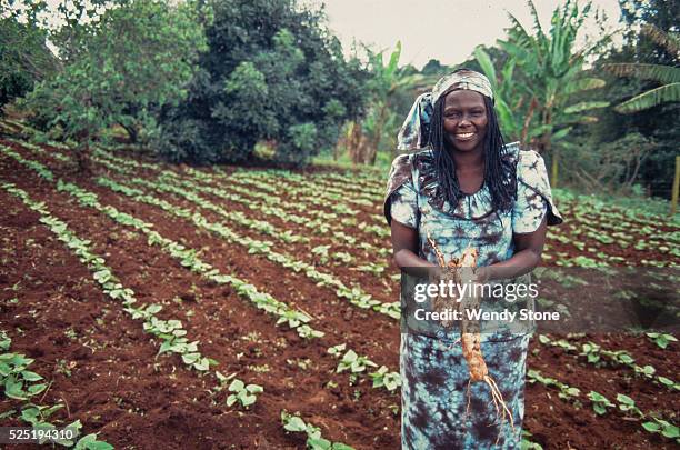 Kenyan environmental and political activist Wangari Maathai was the first African woman to receive the Nobel Peace Prize for her contribution to...