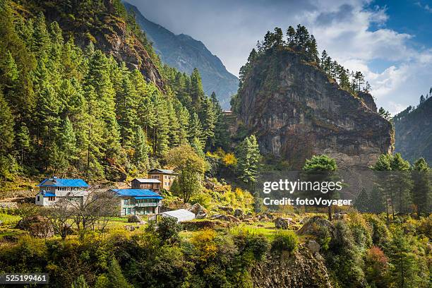 salons de thé dans les montagnes de la vallée idyllique de l'himalaya au népal, sur l'everest trail - népal photos et images de collection