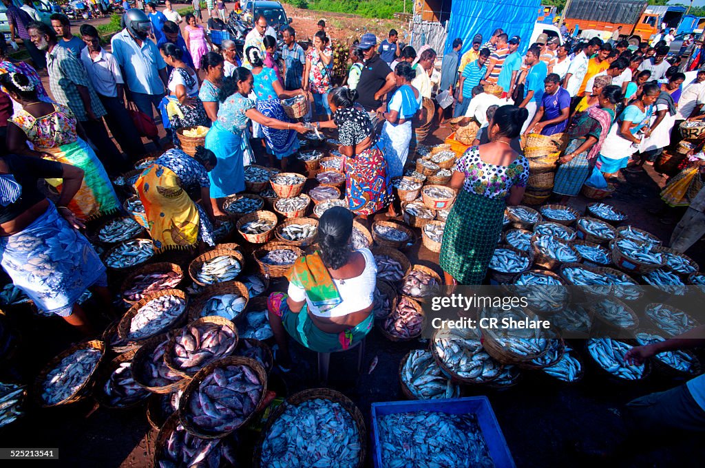 Fish Market