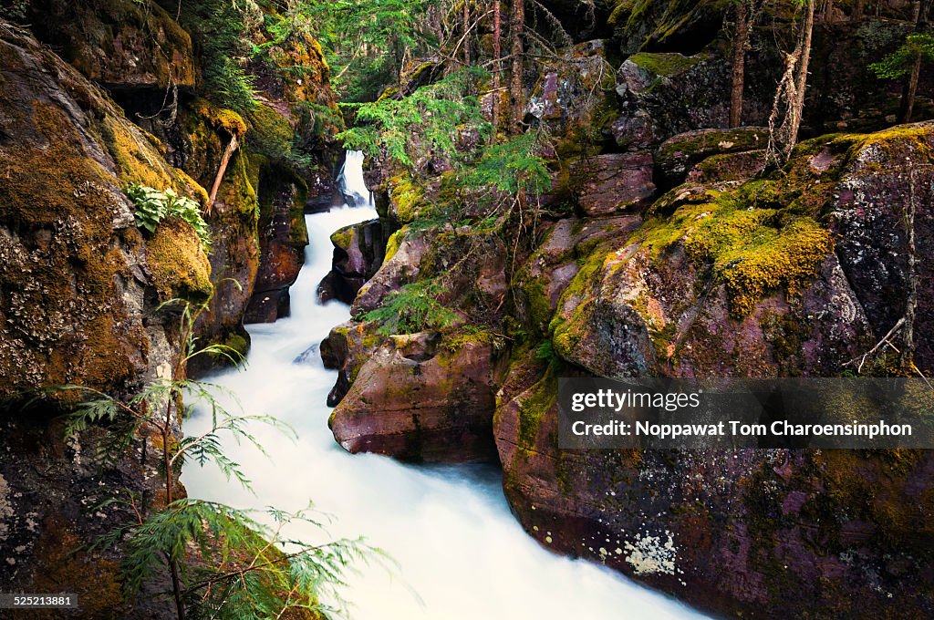 Avalanche Gorge