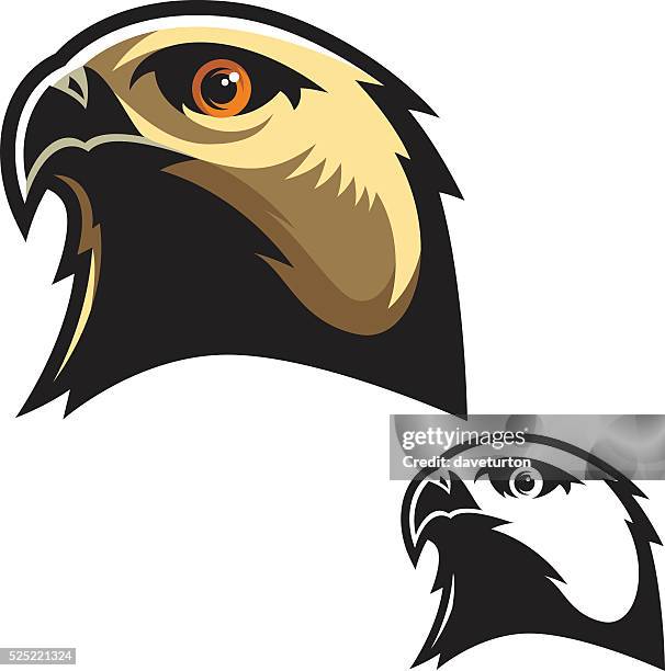 stockillustraties, clipart, cartoons en iconen met hawk head mascot - havikachtige