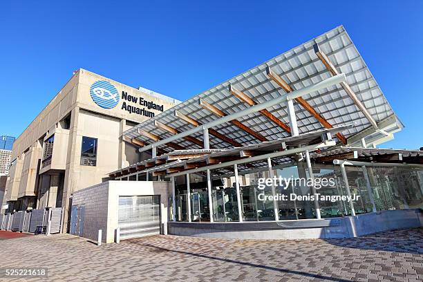 new england aquarium in boston - new england usa stock pictures, royalty-free photos & images