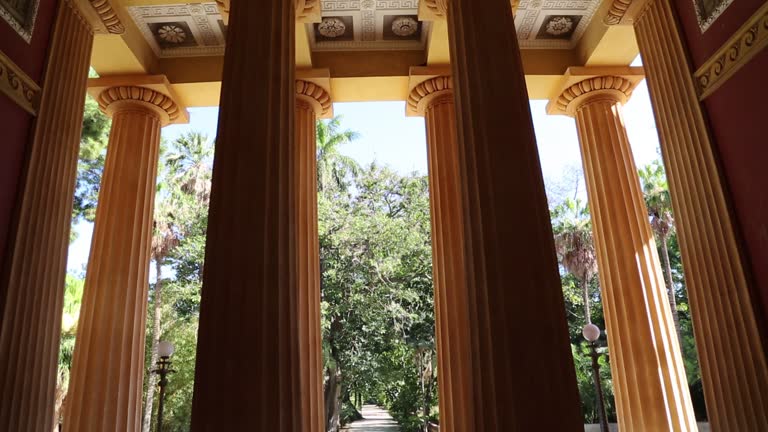 379 Botanical Garden Interior Stock Videos, Footage, & 4K Video Clips ...