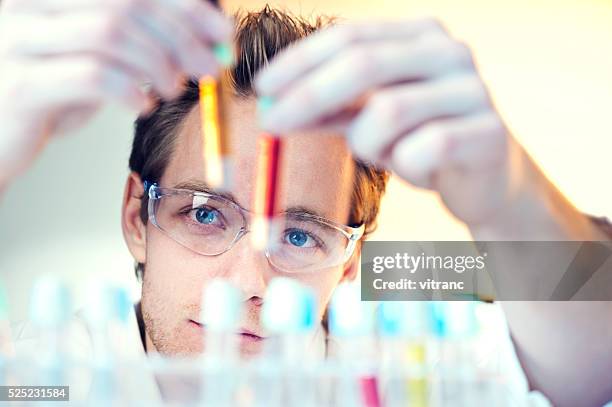 scientist in laboratory - blood tubes stockfoto's en -beelden