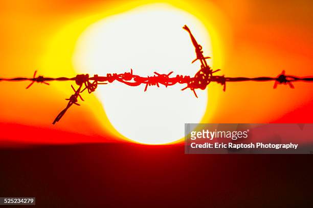 repair on barbed wire against a setting sun - modoc county california stock pictures, royalty-free photos & images