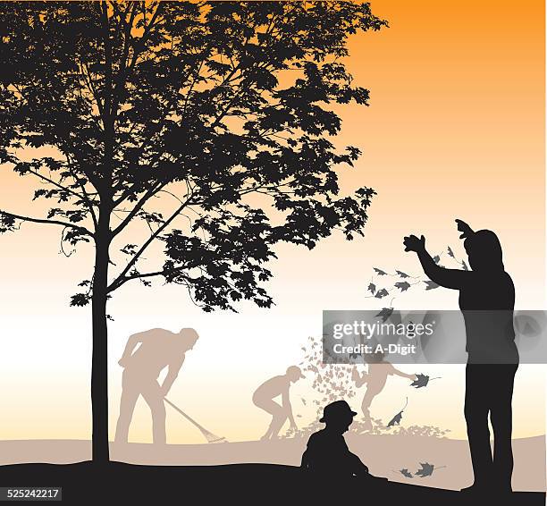 mapleleaves - rake leaves stock illustrations