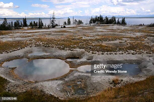 Yellowstone National Park is known for its many geothermal features. It contains about one half of the world's hydrothermal vents at over 10...