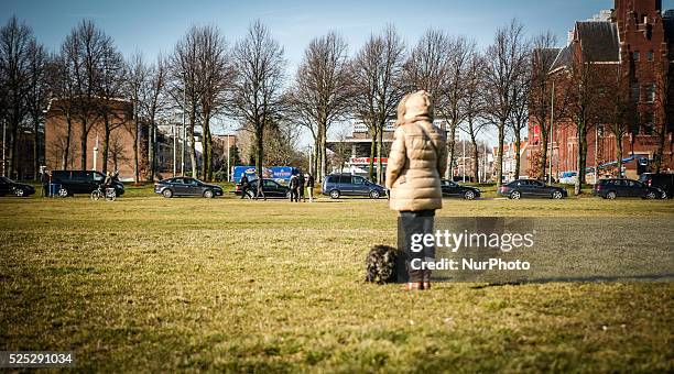 In The Hague, Netherland, on 18th February 2015, over 100 taxi drivers from different cities demonstrated against the UberPop service. Contrary to...