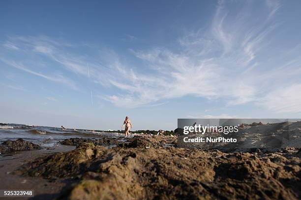 Sopot, Poland 17th, July, 2014 Due to the high temperature and flauta at sea, on the Sopot's Baltic Sea beach blue-green cyanobacteria algae bloomed....