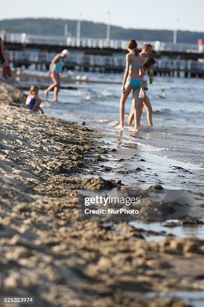 Sopot, Poland 17th, July, 2014 Due to the high temperature and flauta at sea, on the Sopot's Baltic Sea beach blue-green cyanobacteria algae bloomed....