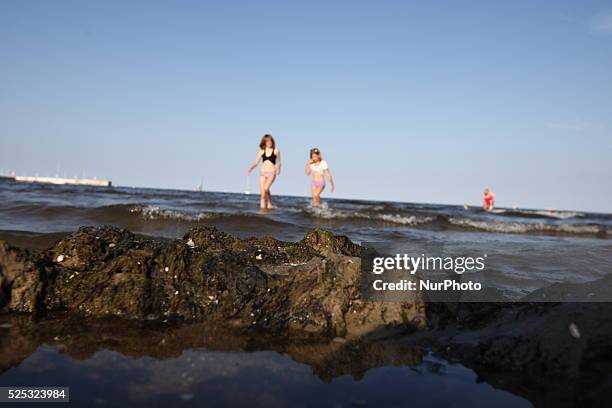 Sopot, Poland 17th, July, 2014 Due to the high temperature and flauta at sea, on the Sopot's Baltic Sea beach blue-green cyanobacteria algae bloomed....