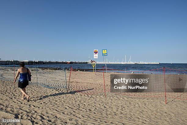 Sopot, Poland 17th, July, 2014 Due to the high temperature and flauta at sea, on the Sopot's Baltic Sea beach blue-green cyanobacteria algae bloomed....