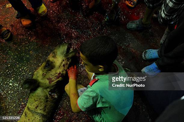 Children during Eid al-Adha sacrifice feast day in Cairo, Egypt on September 25, 2015 To celebrate Muslims slaughter sheep, goats, cows and camels to...