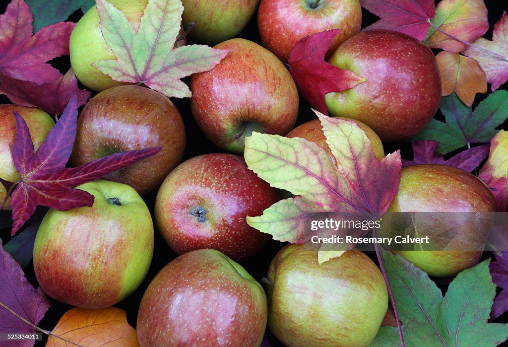 Bright autumnal colour, apples & scattered leaves