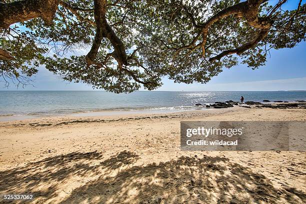 inhaca island mozambique - inhaca island stock pictures, royalty-free photos & images