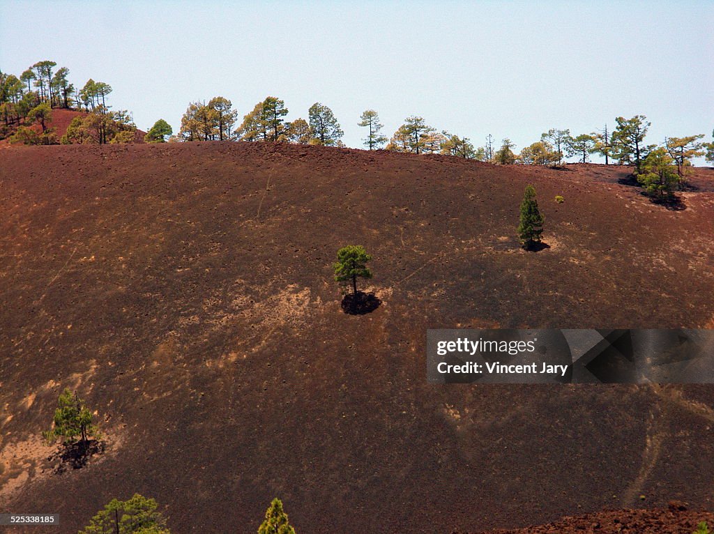 Mount teide canary island