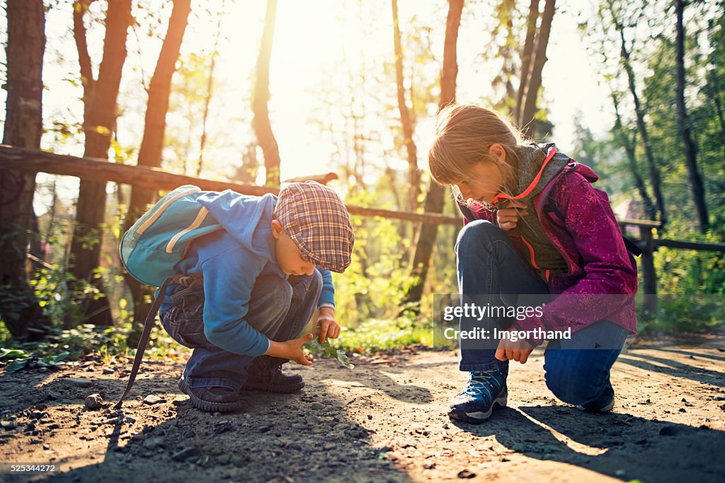 Little hikers observing little beetle on forest path