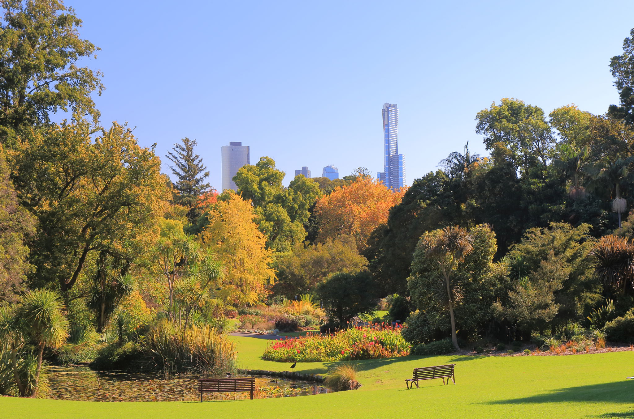 melbourne autumn real estate